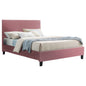 DUSTY PINK VELVET BED HM553.12 FOR MATTRESS 150x200 CM. image 1