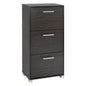 Shoe Cabinet Wooden HM2221.01 Zebrano 3Places 62x24x110 image 1