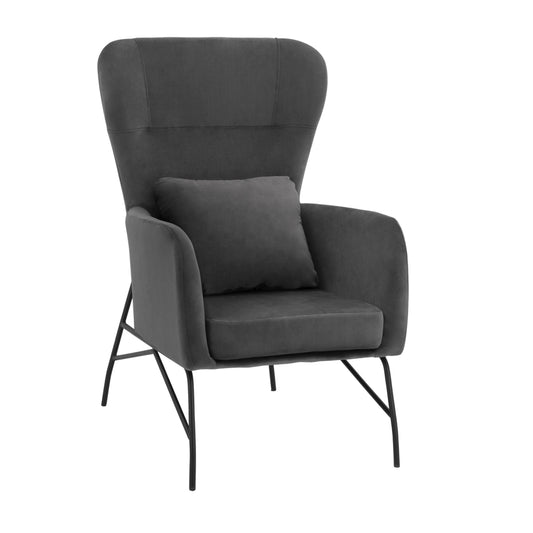 Armchair Velvet Grey with metallic black leg HM8721.01 67x80x102 cm. image 1