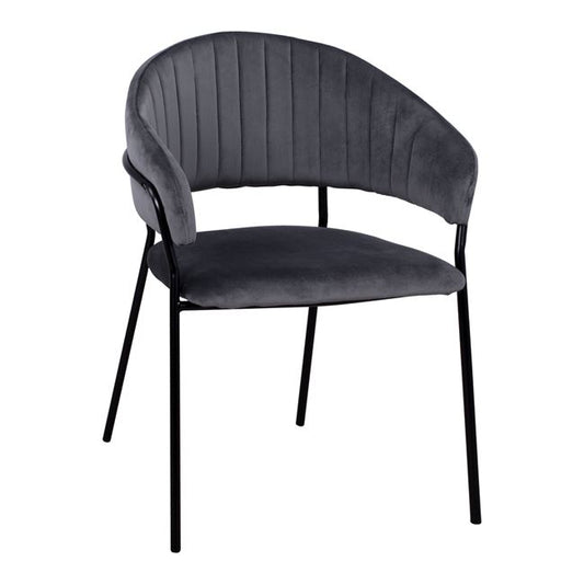 Armchair Theodore HM8520.01 from velvet grey with metallic frame 55x50x82cm image 1